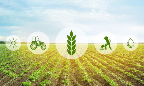 Soil management practices