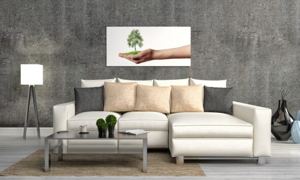 make your home eco-friendly