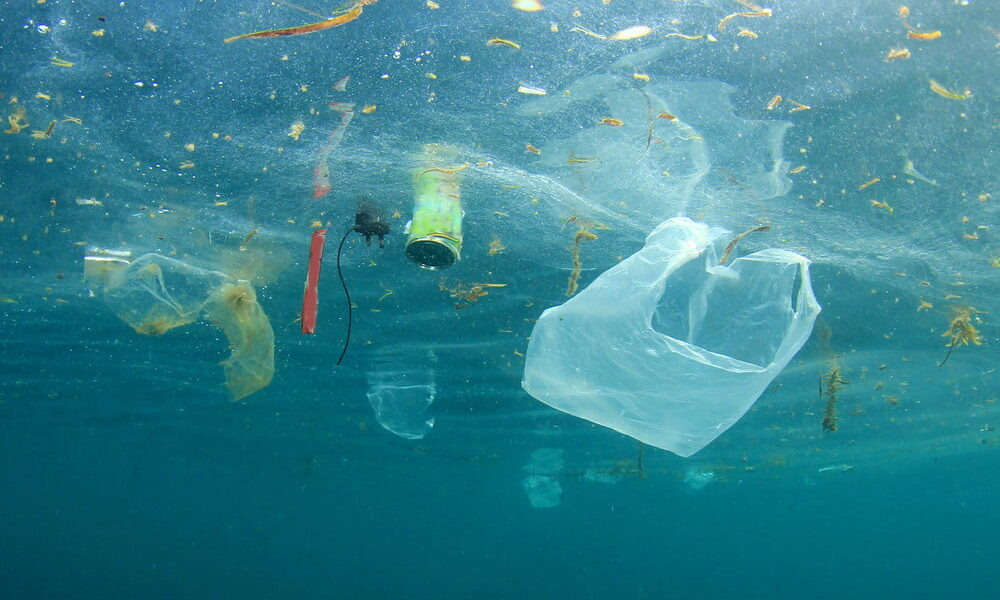 plastic bags destroying sea