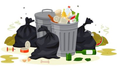 Environmental issues on Dumping Your Junk