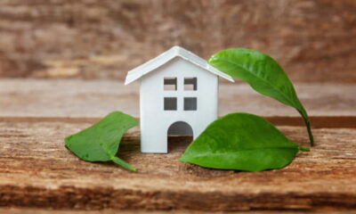 steps towards an eco-friendly home