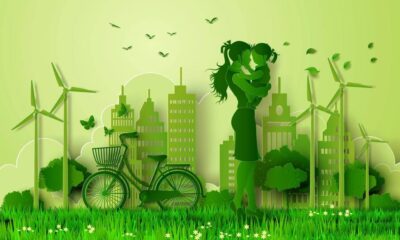 eco-friendly building materials