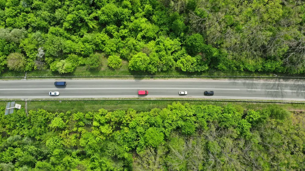 green transportation ideas