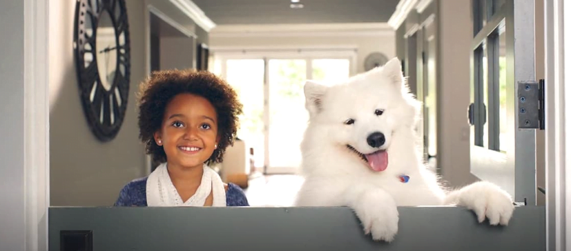 kid with her pet