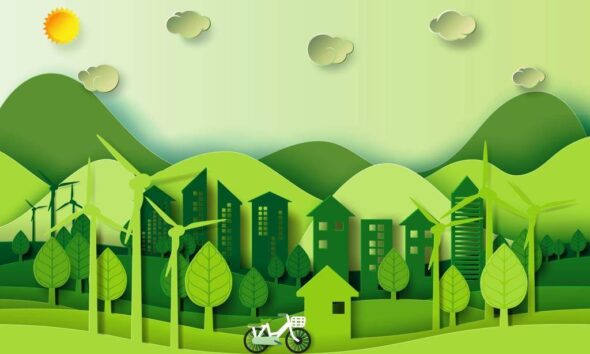 environmentalism and minimalism