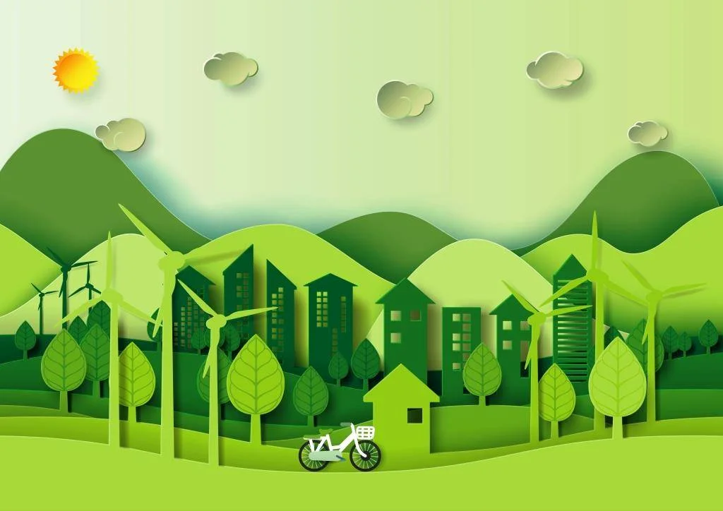 environmentalism and minimalism