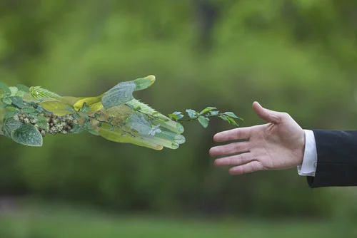 eco-friendly investing