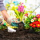 eco-friendly gardening
