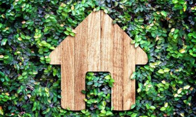 sustainable homeowners
