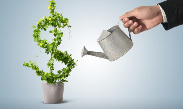 green profit sustainable