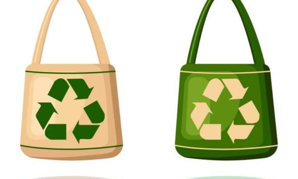 reusable freezer bags