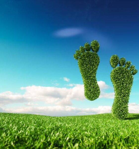 environmental footprint