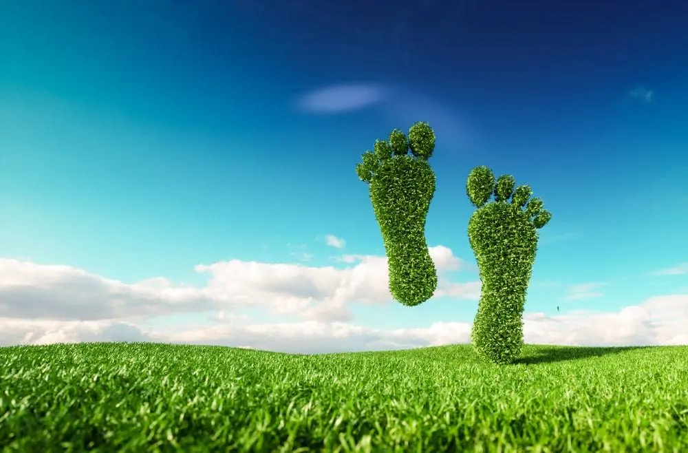 environmental footprint