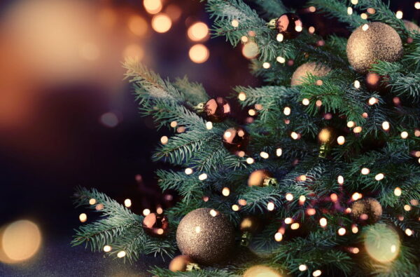 How You Can Celebrate An Environmentally Friendly Christmas Or Holiday