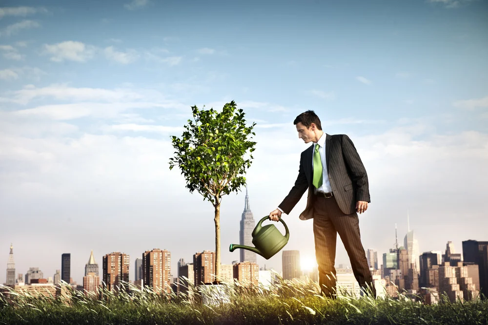 green entrepreneurs