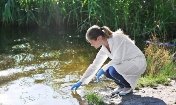 environmental sciences