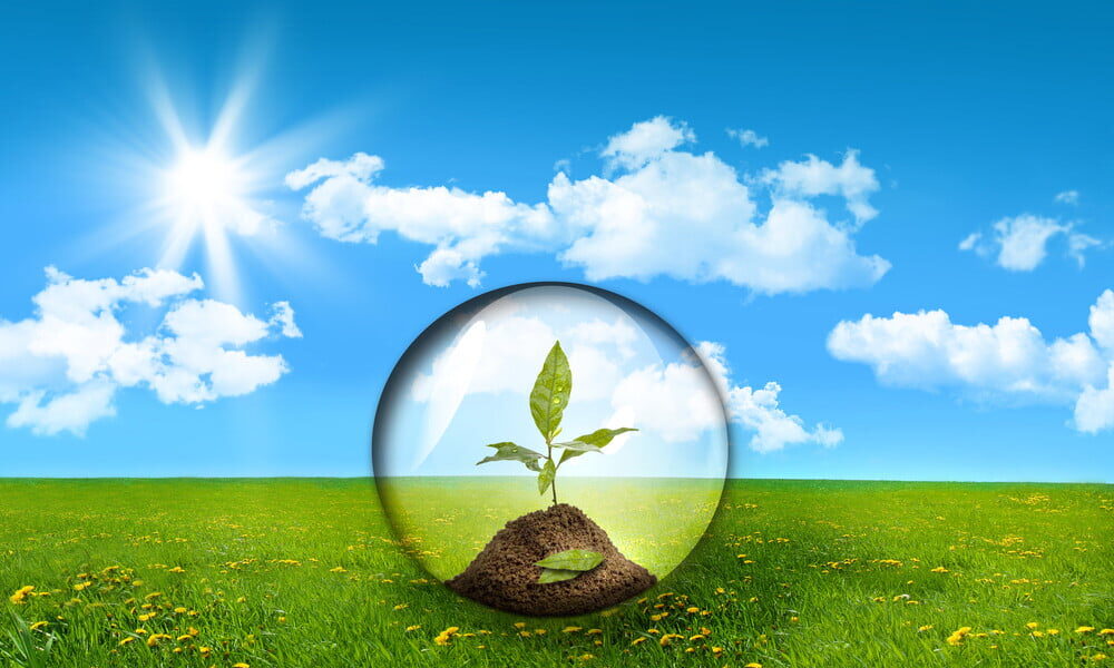 4-essential-elements-of-the-upcoming-green-revolution