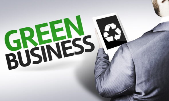 Green Entrepreneurs / green business