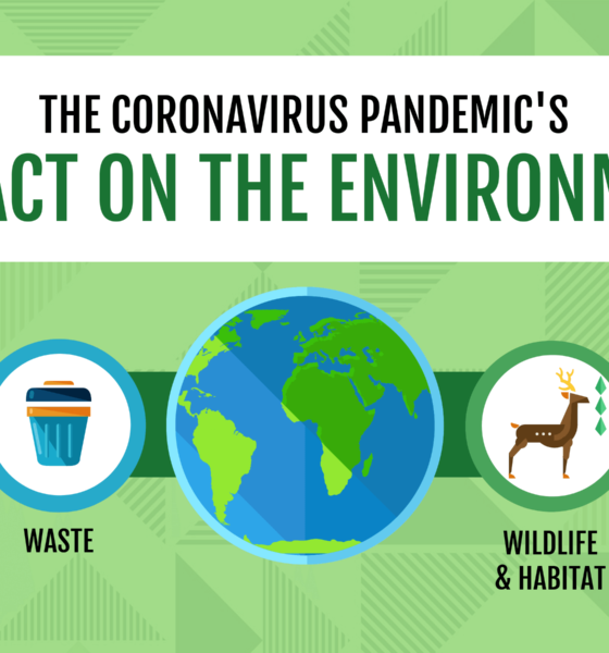 Coronavirus Pandemic Impact on Environment