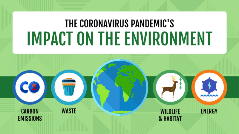 Infographic: The Environmental Impact of COVID-19