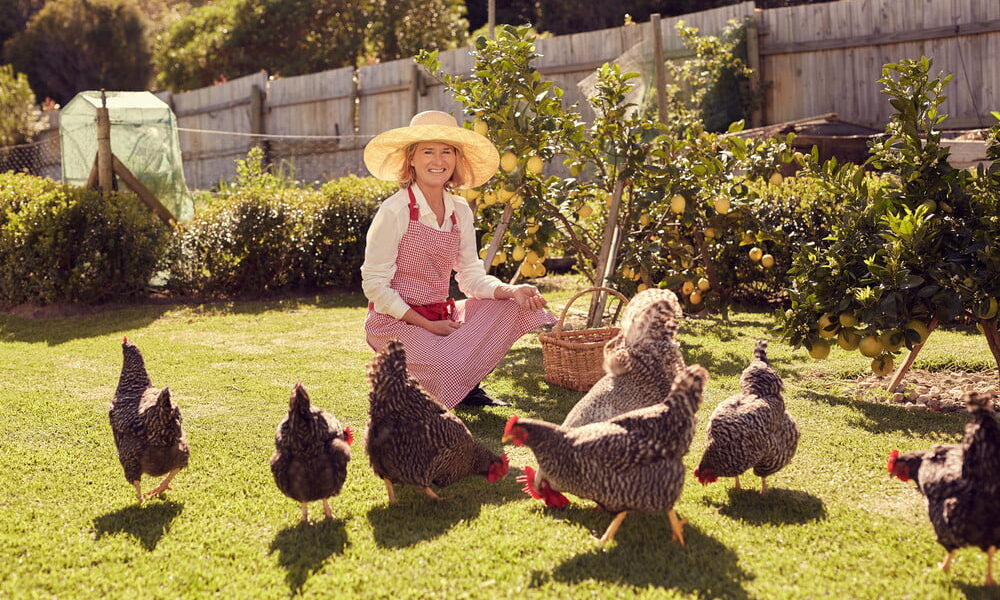 Should Eco-Friendly Families Raise Backyard Chickens?