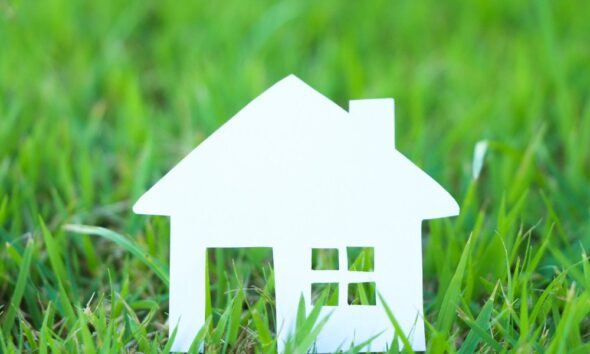 eco-friendly home cleaning