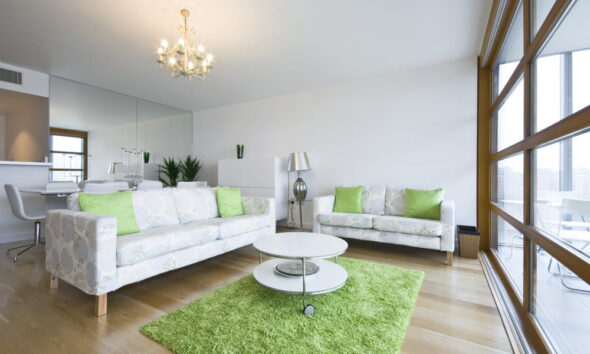 keep your carpet clean green