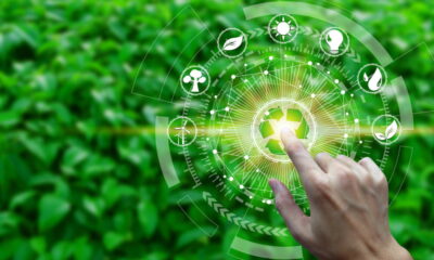 sustainable business in IT