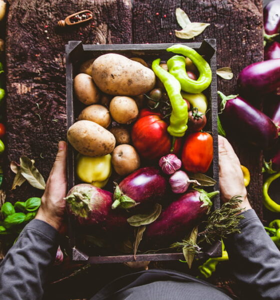 organic garden business