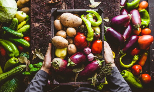 organic garden business