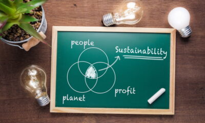 sustainable financial planning