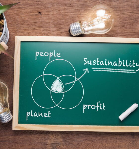 How To Do Sustainable Financial Planning For Next Five Years?