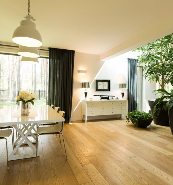 eco-friendly homes interior