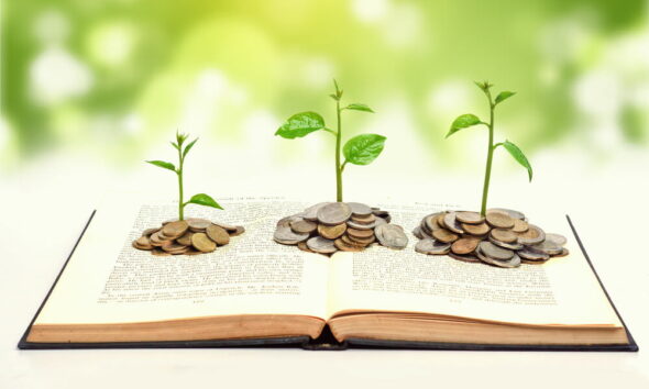 eco friendly financial options