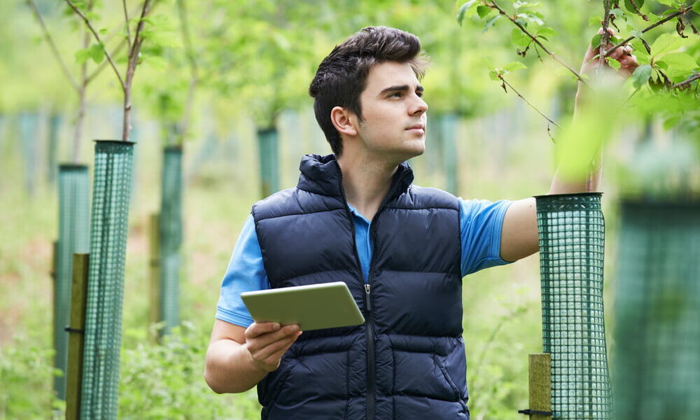 What Types Of Jobs Can You Get With An Environmental Science Degree