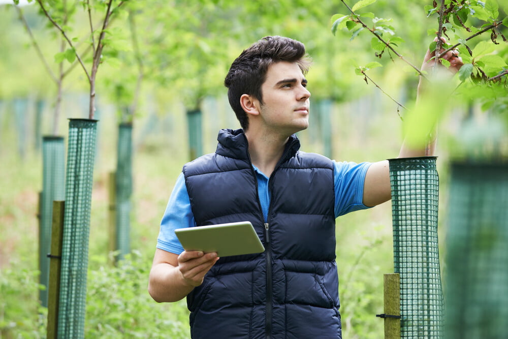 What Jobs Can You Get With An Environmental Science Degree?