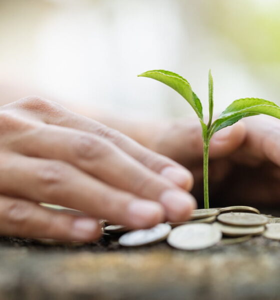 eco-friendly finance guide