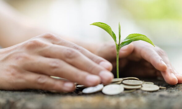 eco-friendly finance guide