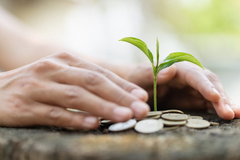 4 Crucial Eco-Friendly Financial Guidelines For The New Economy