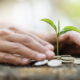eco-friendly finance guide