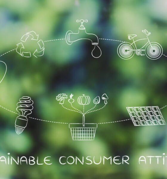 sustainable customer attitude