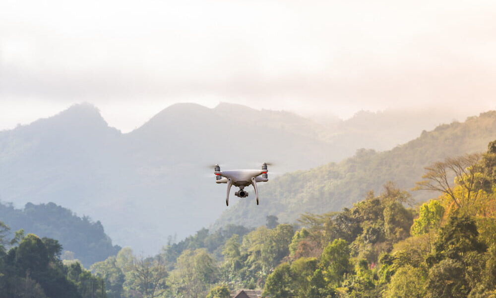 drones are saving our forests