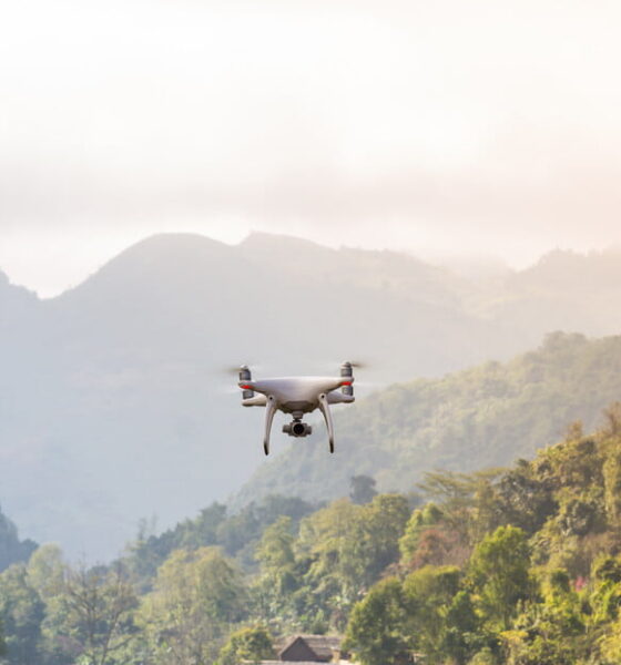 drones are saving our forests