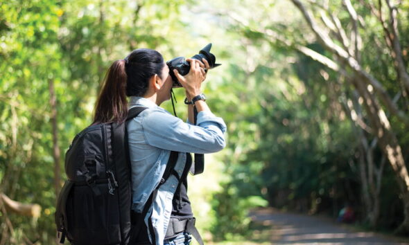 green multi-channel marketing