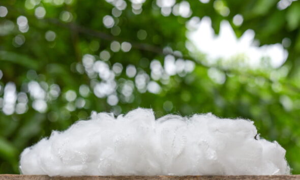 Polyester harm for environment