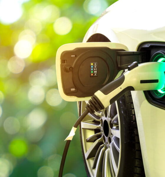 hybrid cars for environmental and financial benefits