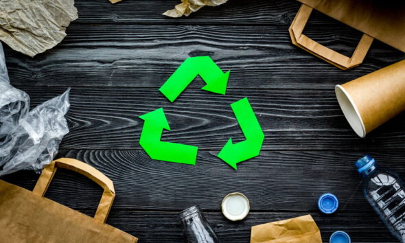 green living tips for environmentally friendly consumers