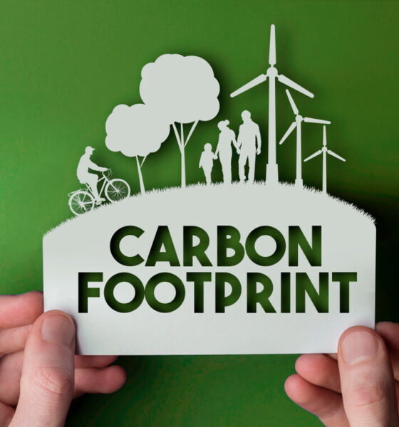 lower your carbon footprint and fight climate change