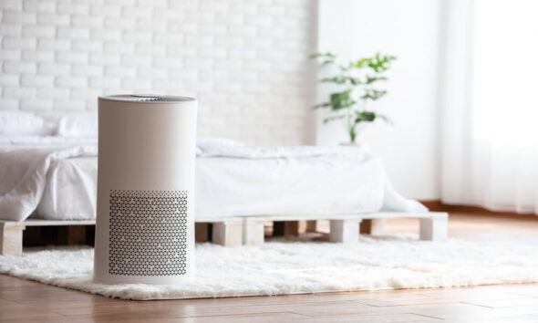 indoor air quality the eco-friendly way