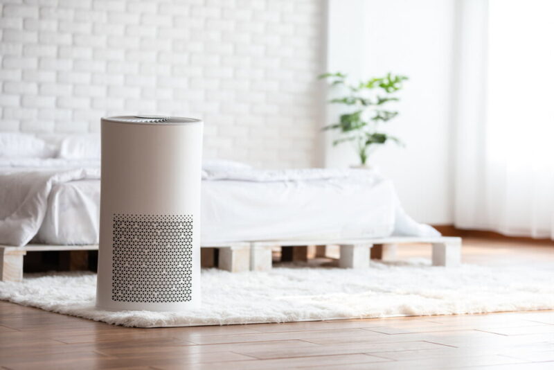 Eco-Friendly Ways to Improve Indoor Air Quality in Green Homes